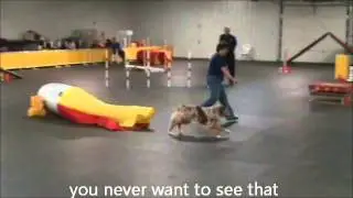 Agility Bloopers