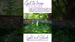 Garden Light And Shade #gardenpath #gardenideas #partialshade #fullsun  #gettoknowyourgarden