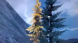 golden Tree location guide