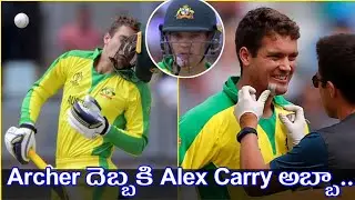 Archer దెబ్బకి Alex Carey అబ్బా .. |  Alex Carey injured during Archer Bowling | Telugu Bold