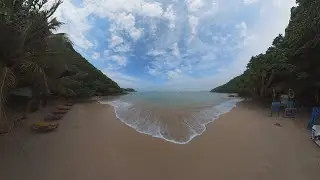 THE JUNGLE BEACH #srilanka #junglebeach