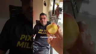 Vida boa