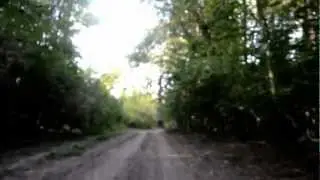 Дорога к дому ...