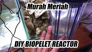 DIY Biopelet Reactor - akuarium air laut pemula