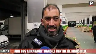 MIN des Arnavaux : dans le ventre de Marseille