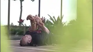 Uncle Roger & Dr. Bijou Toy poodle Workout