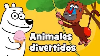 Canciones divertidas de animales | El Oso Polar y el babuino| Hurra Canciones Infantiles