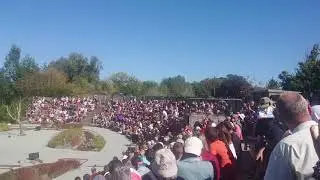 ParcDesOiseaux
