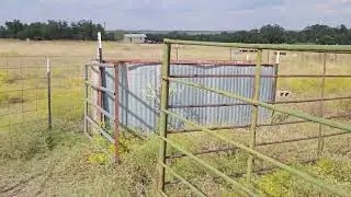DIY Cow Working/Sorting Pens