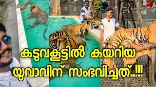 ഇവിടെ നിസാര പൈസക്ക് കടുവയുടെ കൂട്ടിൽ കേറാം..!!!