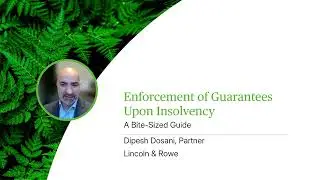 Enforcement of Guarantees Upon Insolvency - A Bite-Sized Guide - Webinar