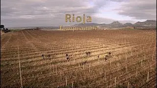 Bodegas Muga &middot; Documental Wine Masters