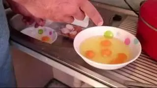 Mixing Organic and Cage Eggs For Maximum Economics And Nutrition