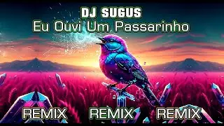 DJ SUGUS - EU OUVI UM PASSARINHO (REMIX)