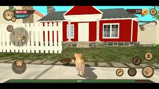 Cat Sim Online: Play with Cats Android Gameplay #1