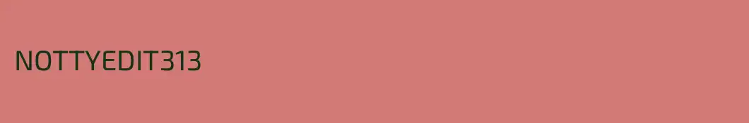 NOTTYEDIT313